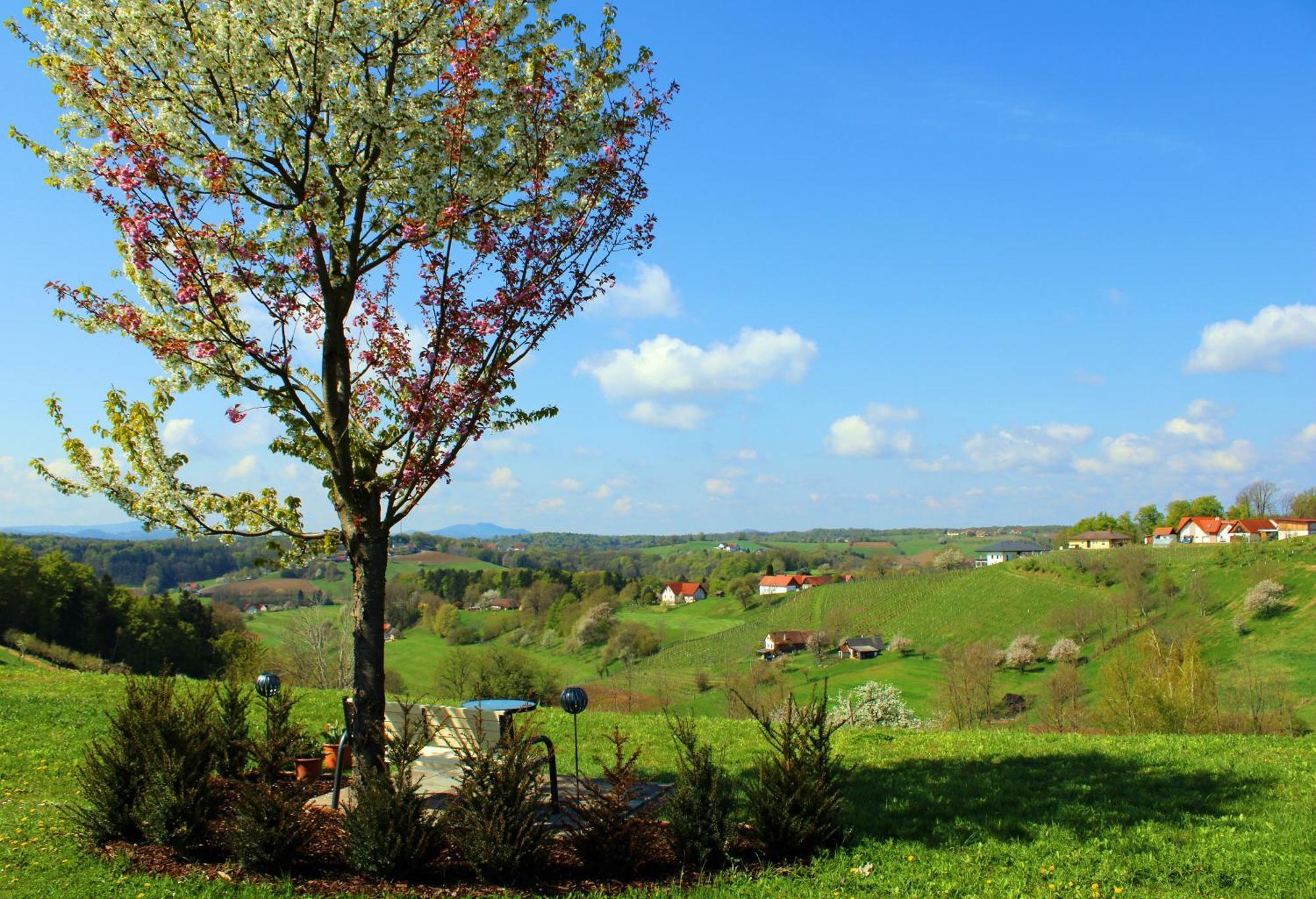 Pension Lammerhof Unterlamm  Zewnętrze zdjęcie